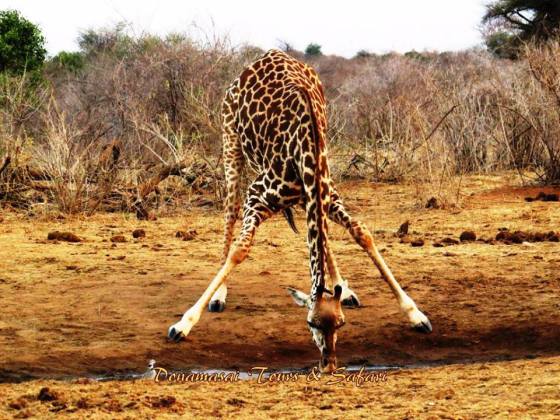 #mollotutto #cambiovita