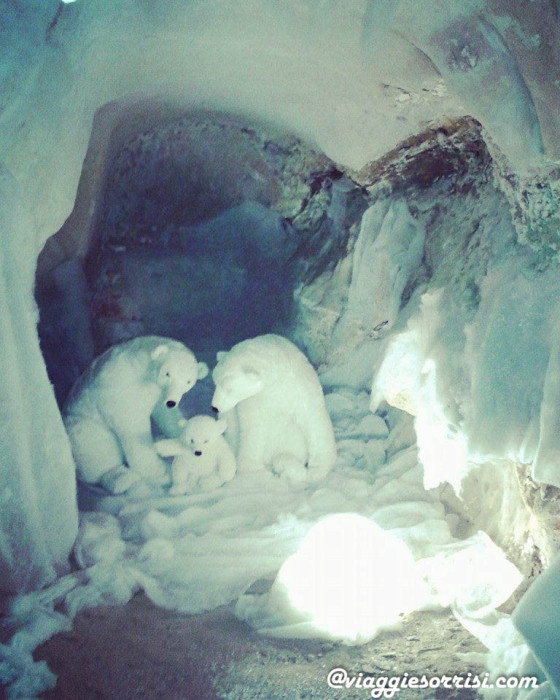 12274396_1233361800023531_3017664117059653541_n