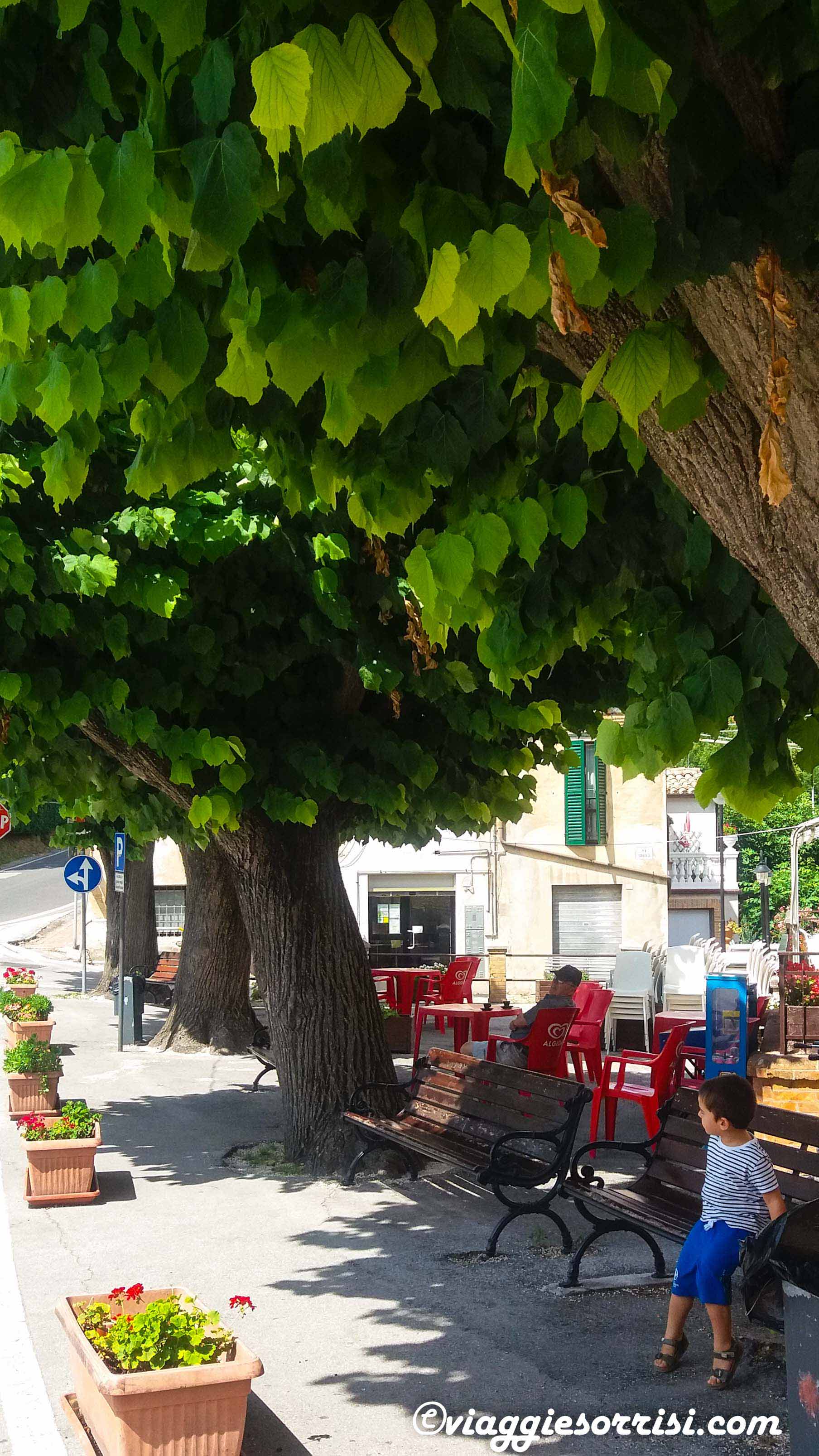 panchine poggio san marcello