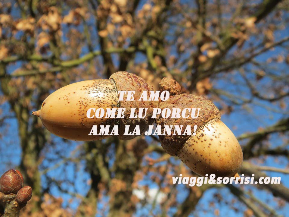 ti amo in dialetto marchigiano2 copia