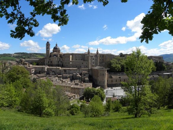 urbino