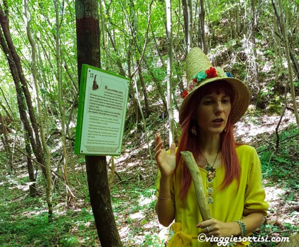 bosco dei folletti urbania