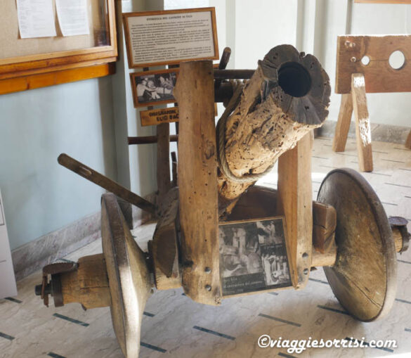 corinaldo cannone di fico