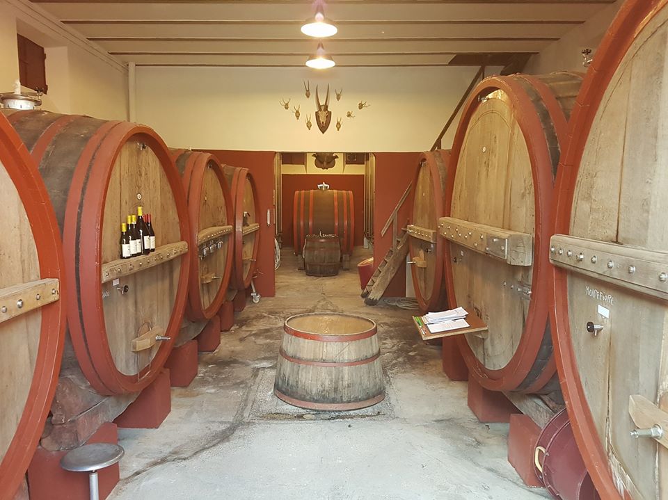cantina villa bucci