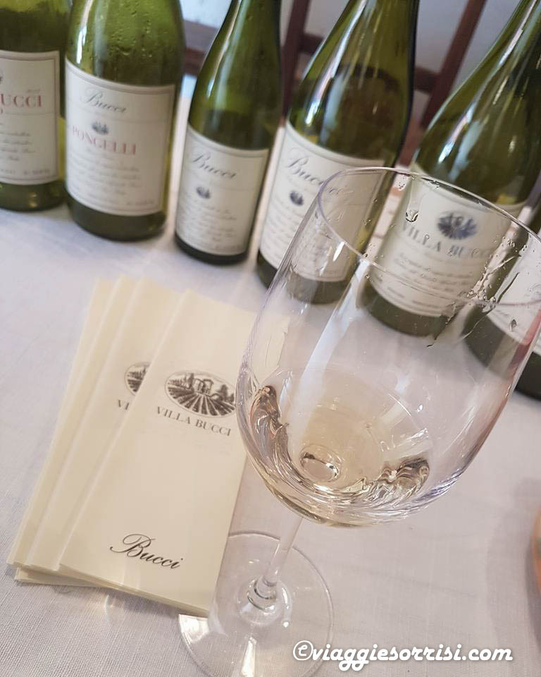 degustazione villa bucci ostra vetere