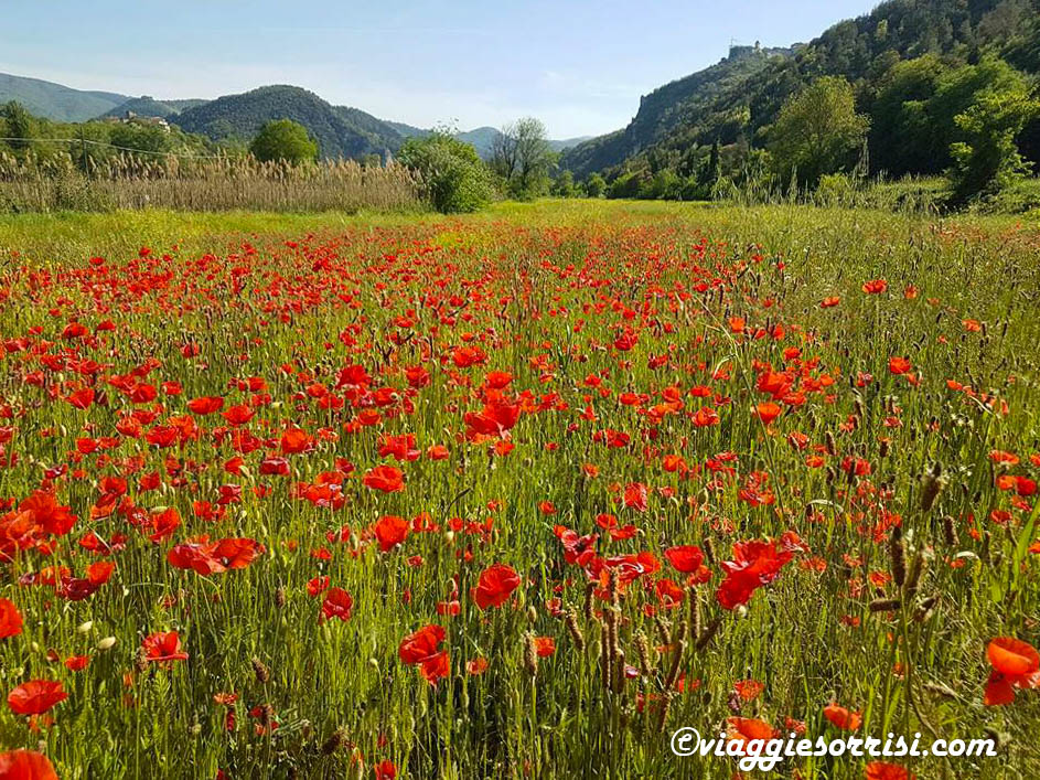 cosa vedere in valnerina