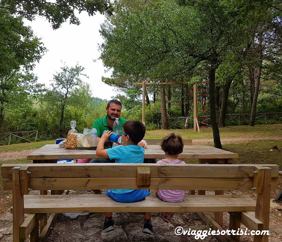 area pic nic foresta umbra