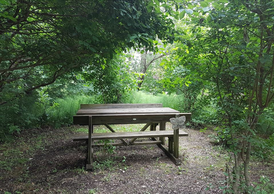 aree di sosta giardino delle farfalle cessapalombo