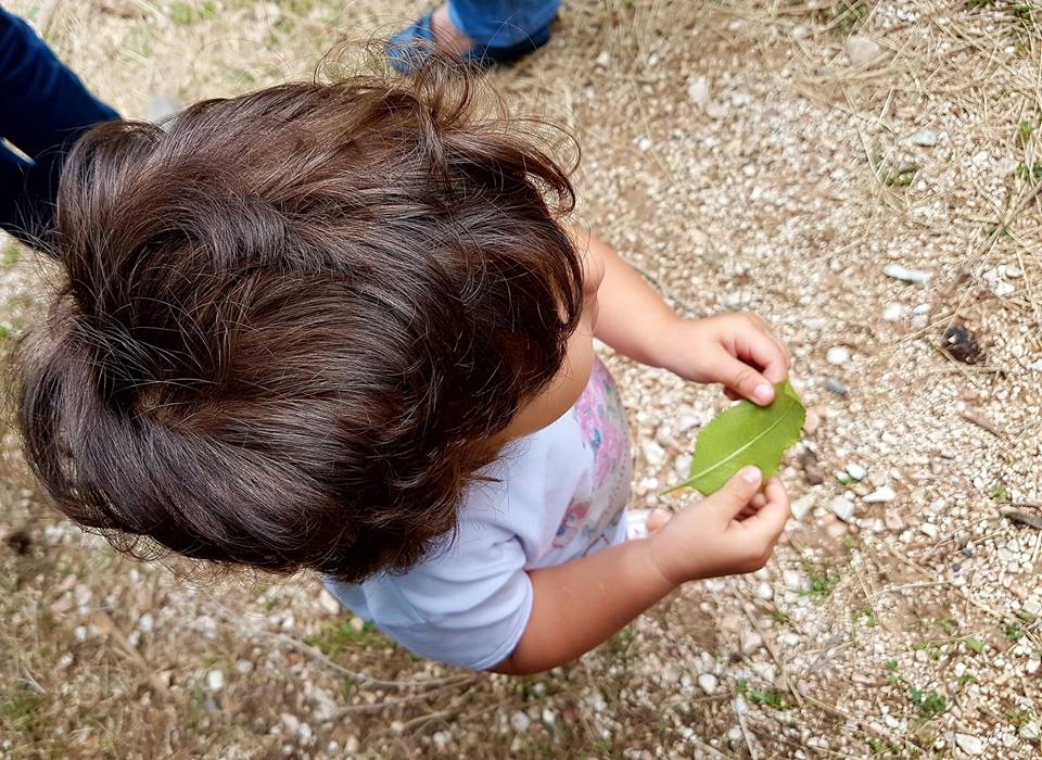 giardino delle farfalle profumi