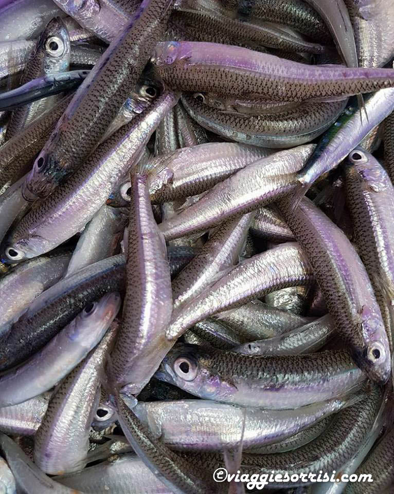 pesce trabucco vieste
