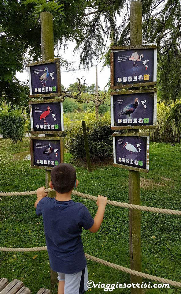 parco zoo punta verde visita