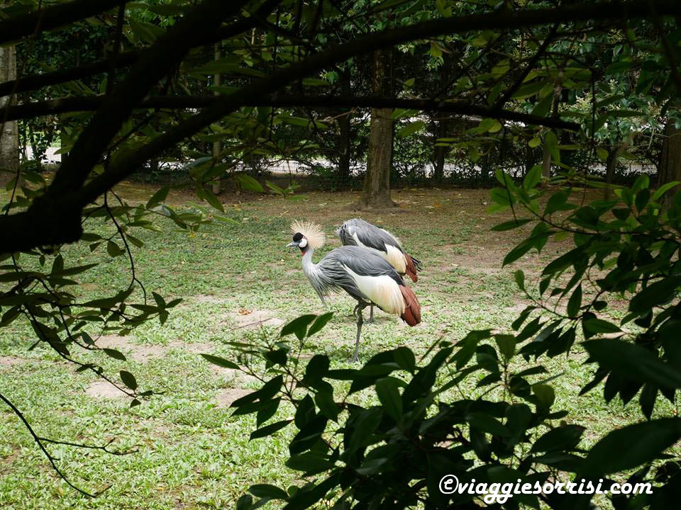 parco zoo punta verde
