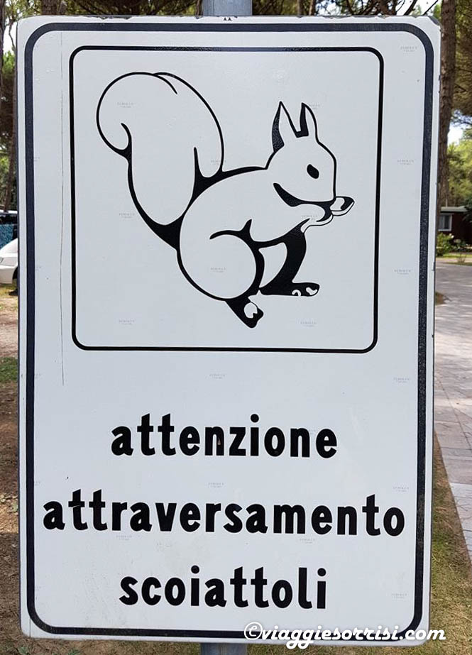 scoiattoli bibione
