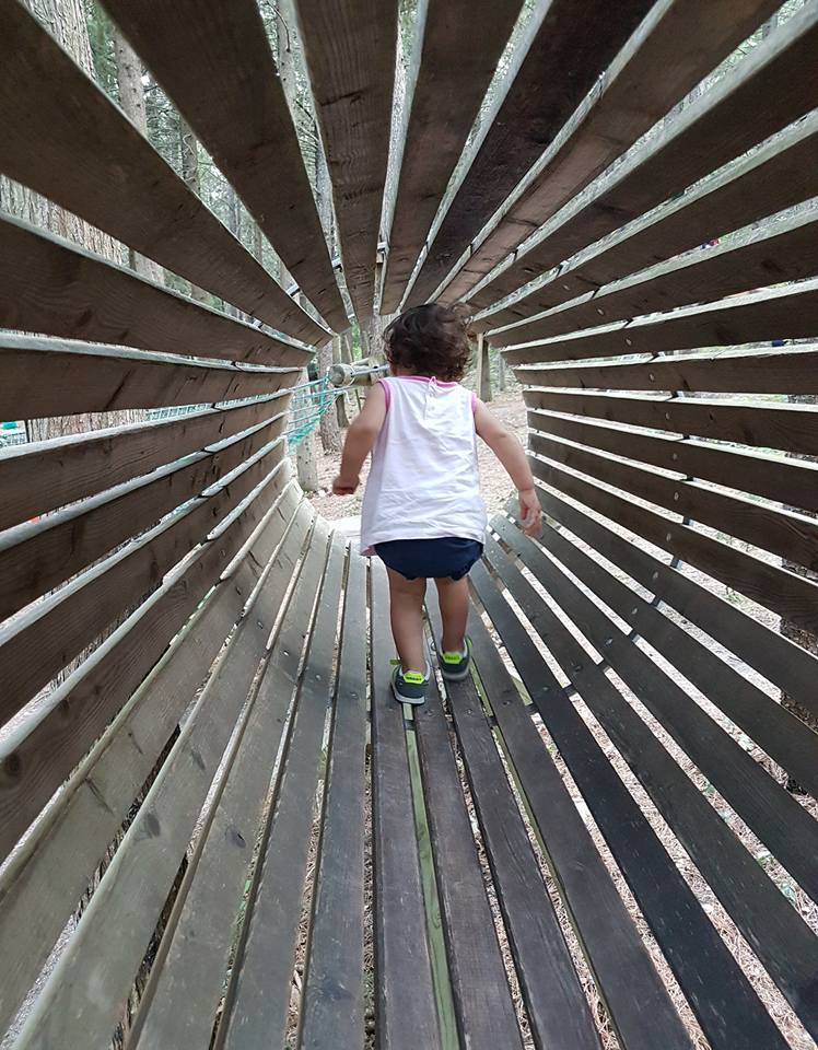 parco avventura cingoli