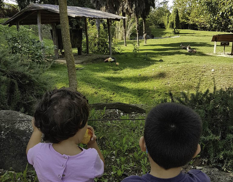 parco natura viva verona