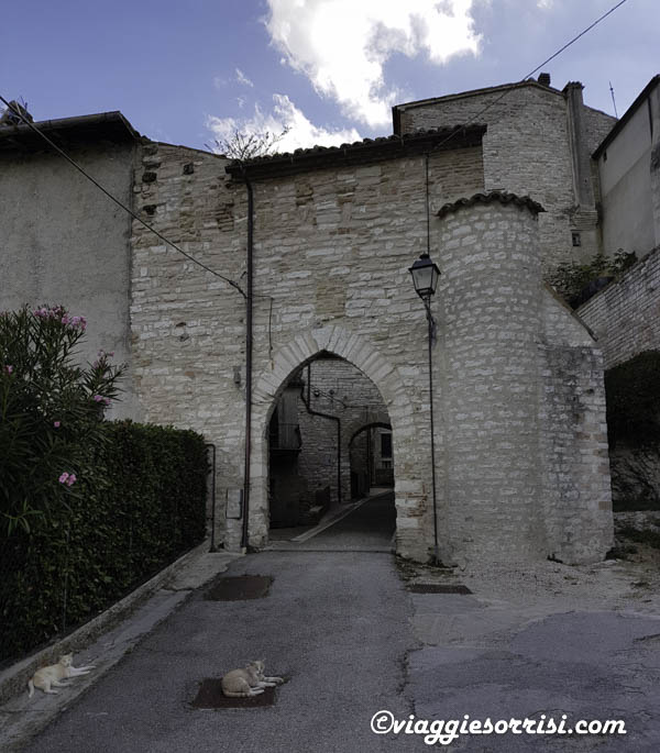 porta palazzo di arcevia