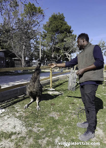 fattoria di campagna emu