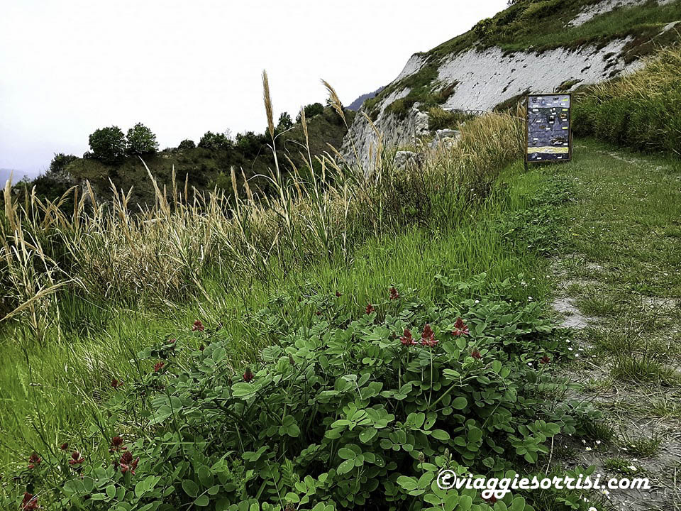 museo geologico brisighella