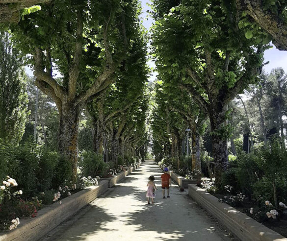 parco colle celeste maiolati spontini viale