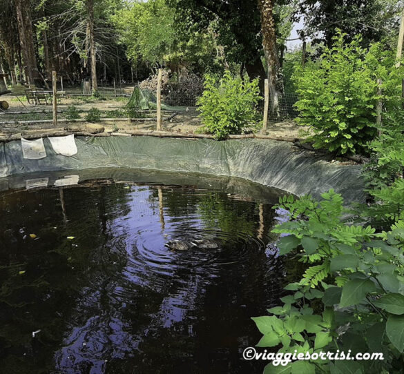 fattoria didattica treek park paperelle