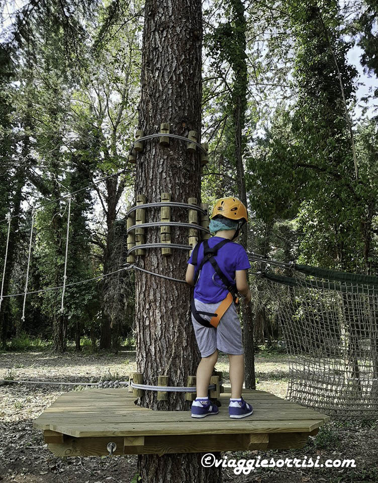 ercorso tra gli alberi treekpark