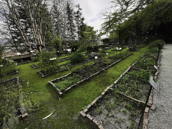 orto botanico camerino