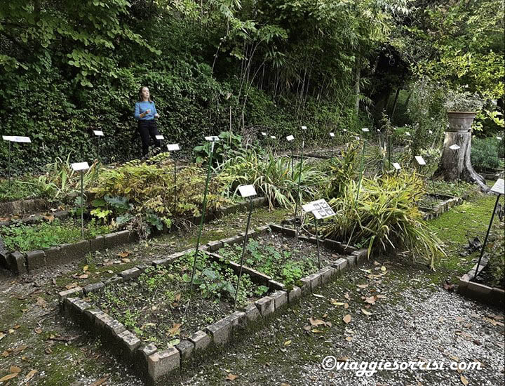 orto camerino botanico