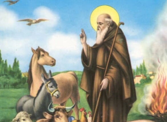 sant'antonio abate marche