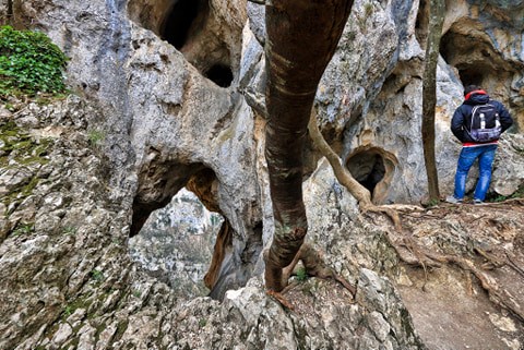 foro degli occhialoni pierosara