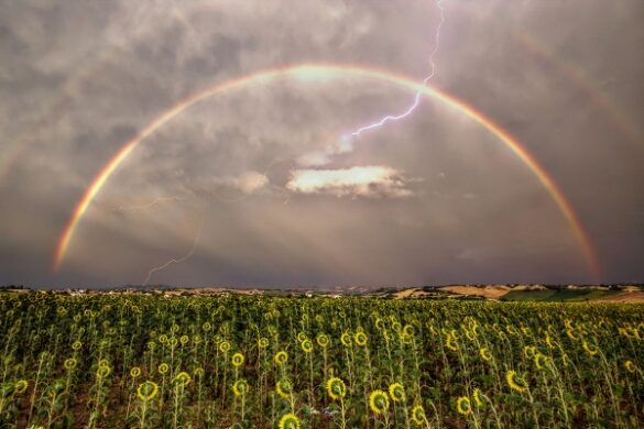 arcobaleno marche