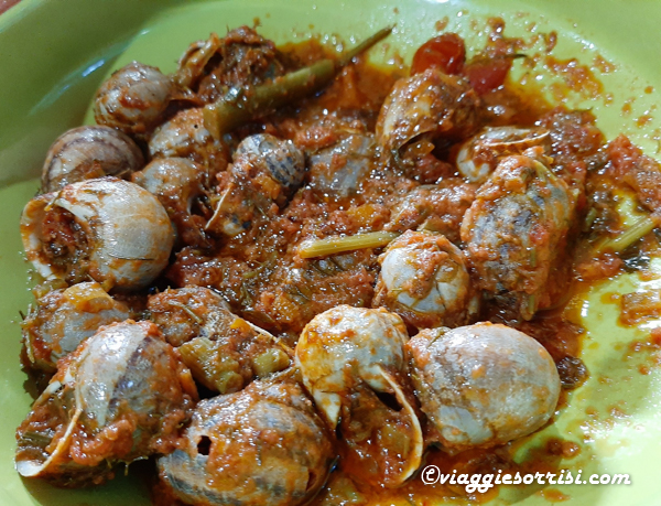 la sagra delle cucciole