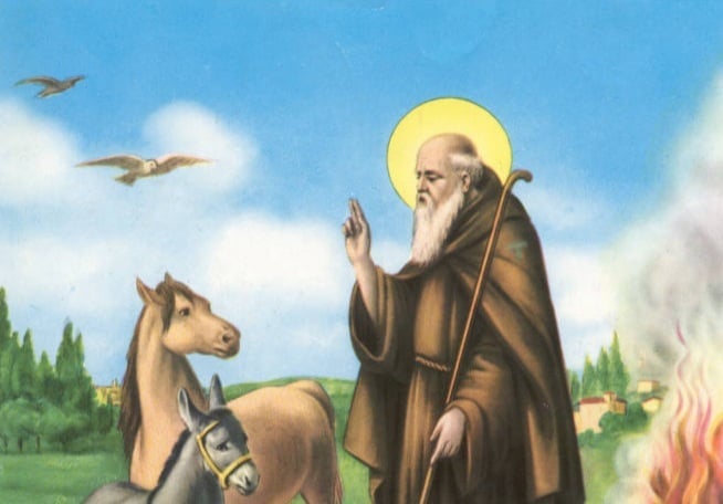 sant'antonio detti e proverbi marchigiani