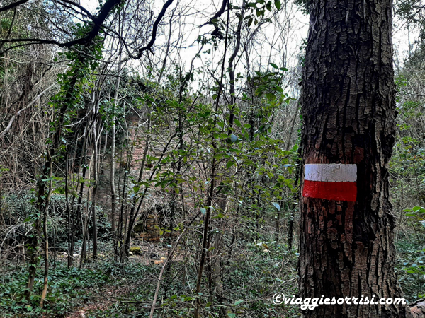 casa gigli sentiero conero