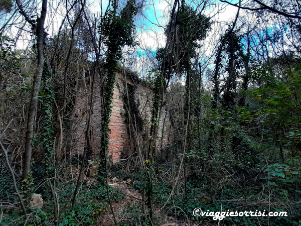 casa gigli sentiero gigli