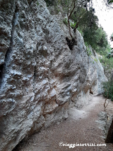 grotta del mortarolo conero