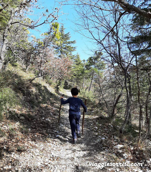 monte revellone sentiero