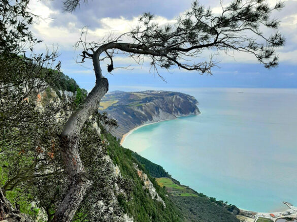 sentiero gigli monte conero