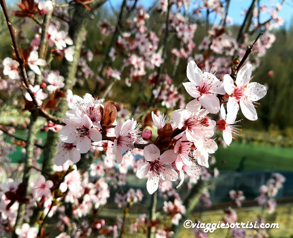 angeli di rosora lungo la ciclopedonale