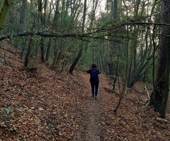 sentiero natura poggio sirolo