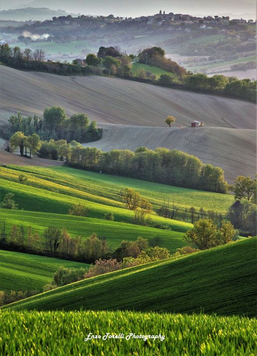 campagna marche