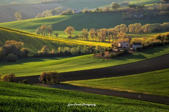 paesaggi delle marche
