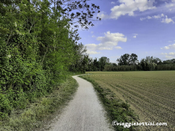 percorso ciclabile chiaravalle falconara