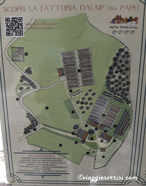 fattoria dalaip dei pape