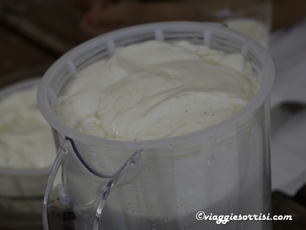 imparare a fare la tosela