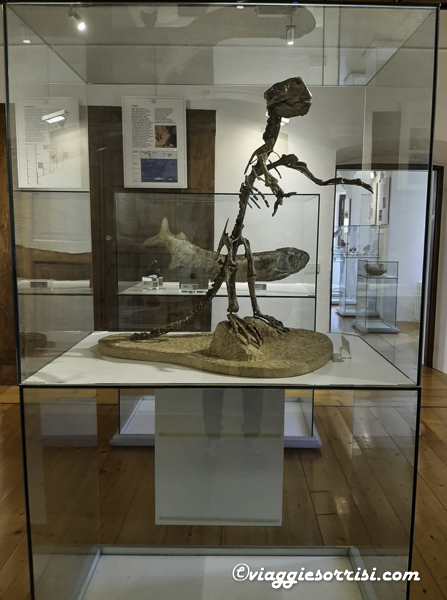 palazzo delle miniere esposizione