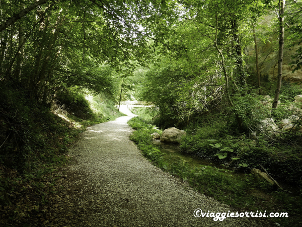 pieve torina percorso acque