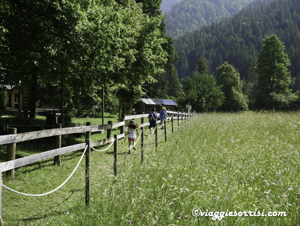 sentiero muse fedaie val canali