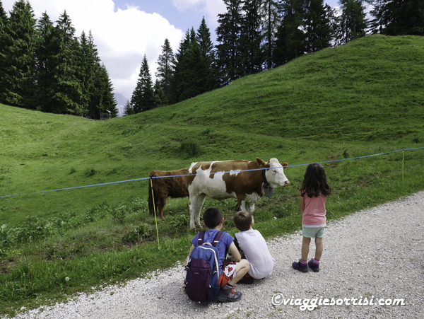 treeking san martino