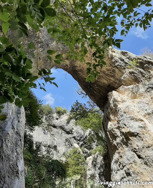 fondarca arrampicate