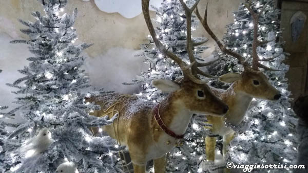 Natale a Pesaro Urbino